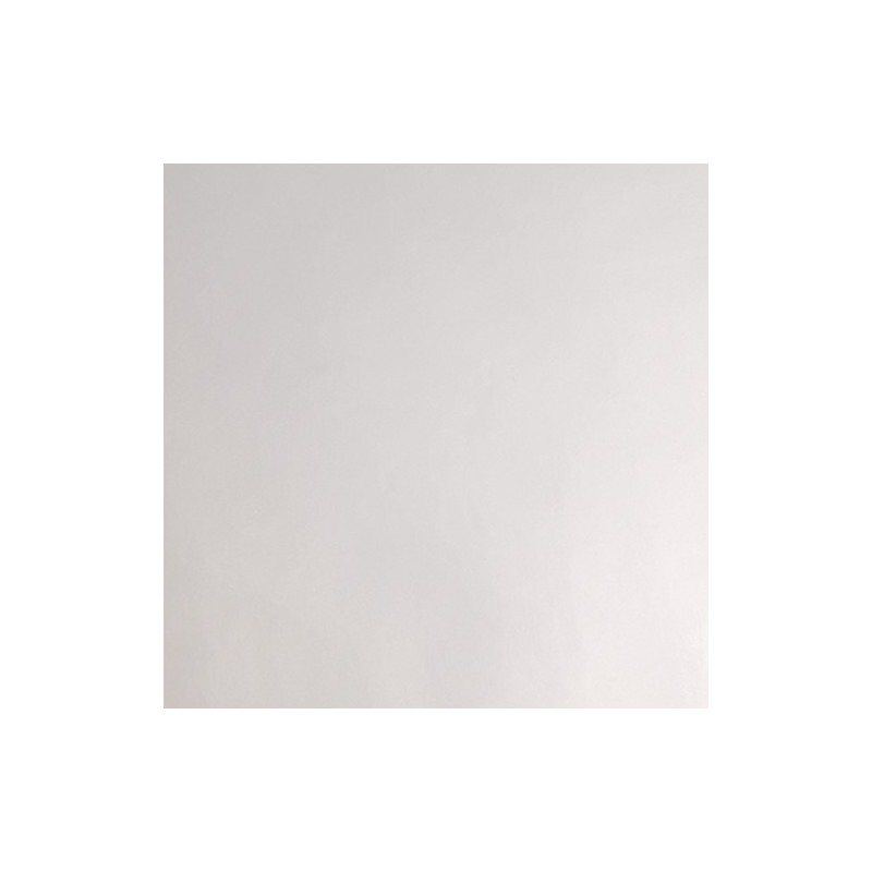 P6877B - Polyester Argent Brillant